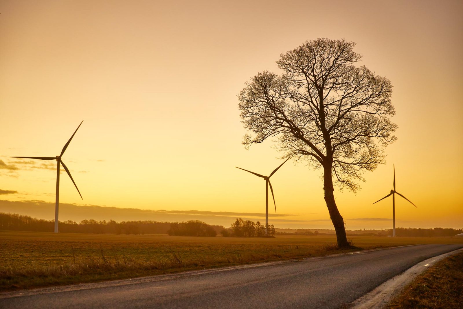 Vindmøller Turebyholm

Copyright by photographer Jasper Carlberg