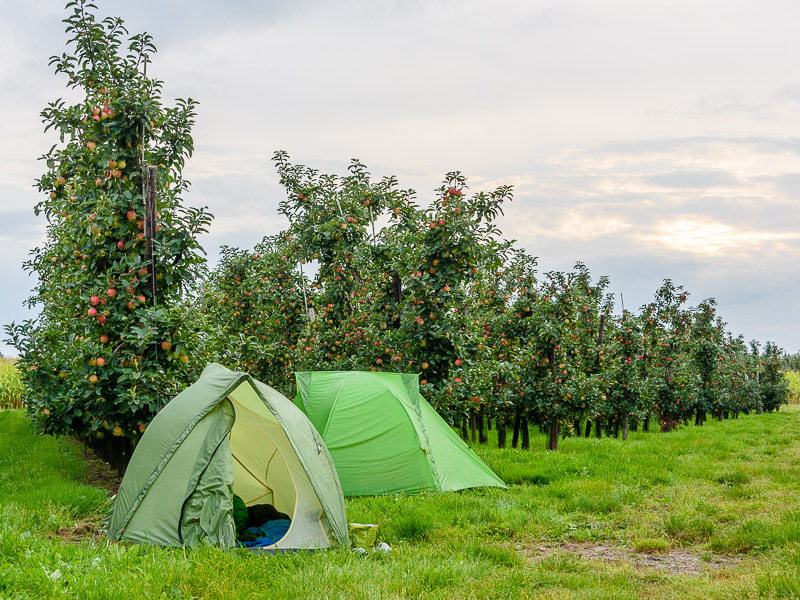 De streek GR Haspengouw – Fruit in de kijker!