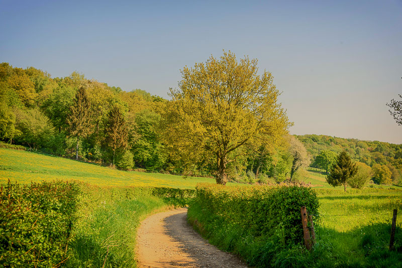 Dutch Mountain trail – Zuid-Limburg schittert