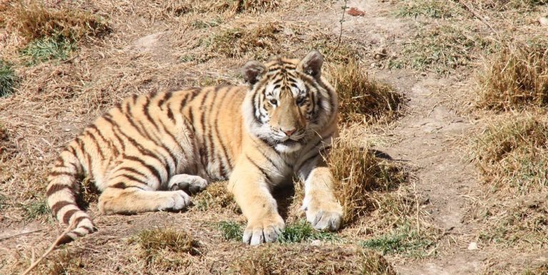 Terra Natura Benidorm