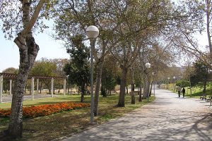 Parque Lo Morant de Alicante