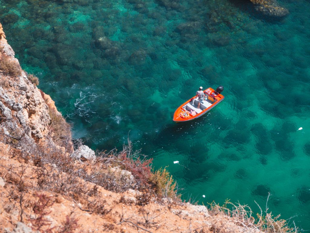 Marine Life Tours