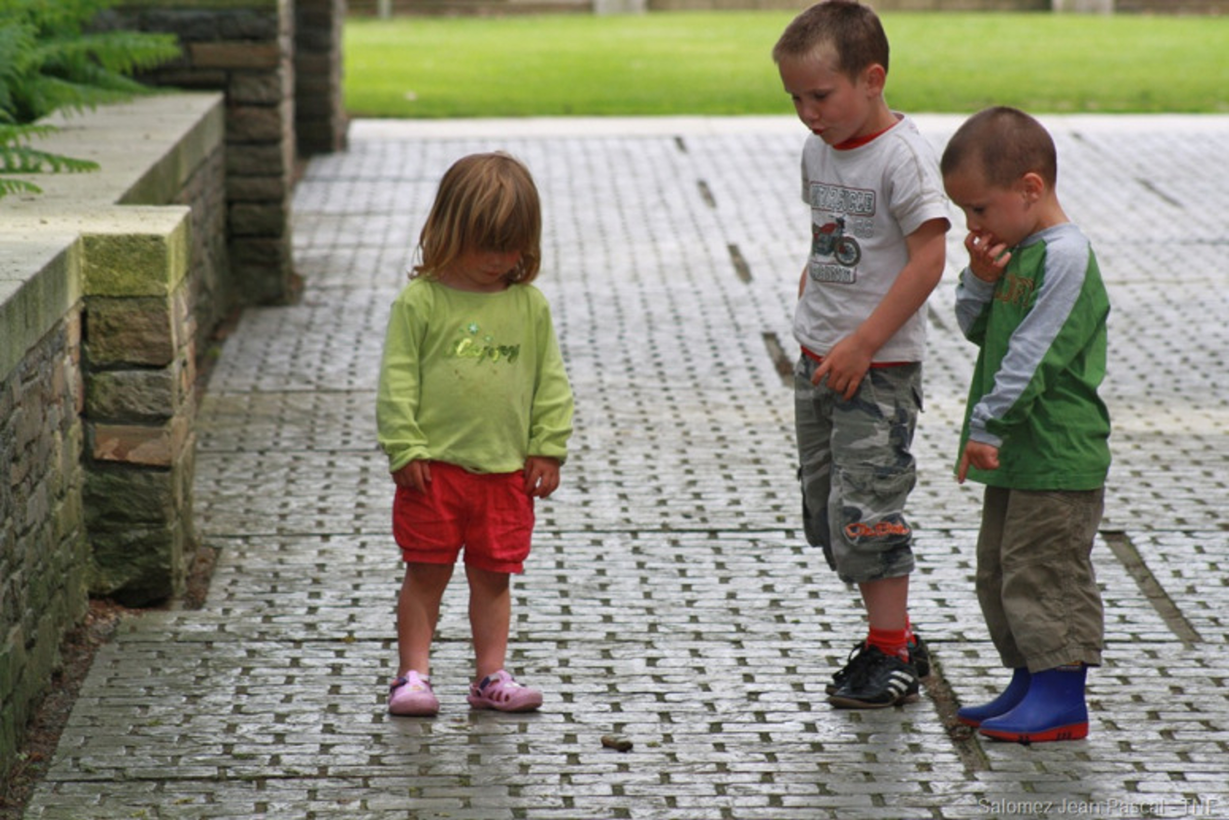 Gevormd door Verlies en Herwonnen Liefde: Een Reis door Gezin en Groei