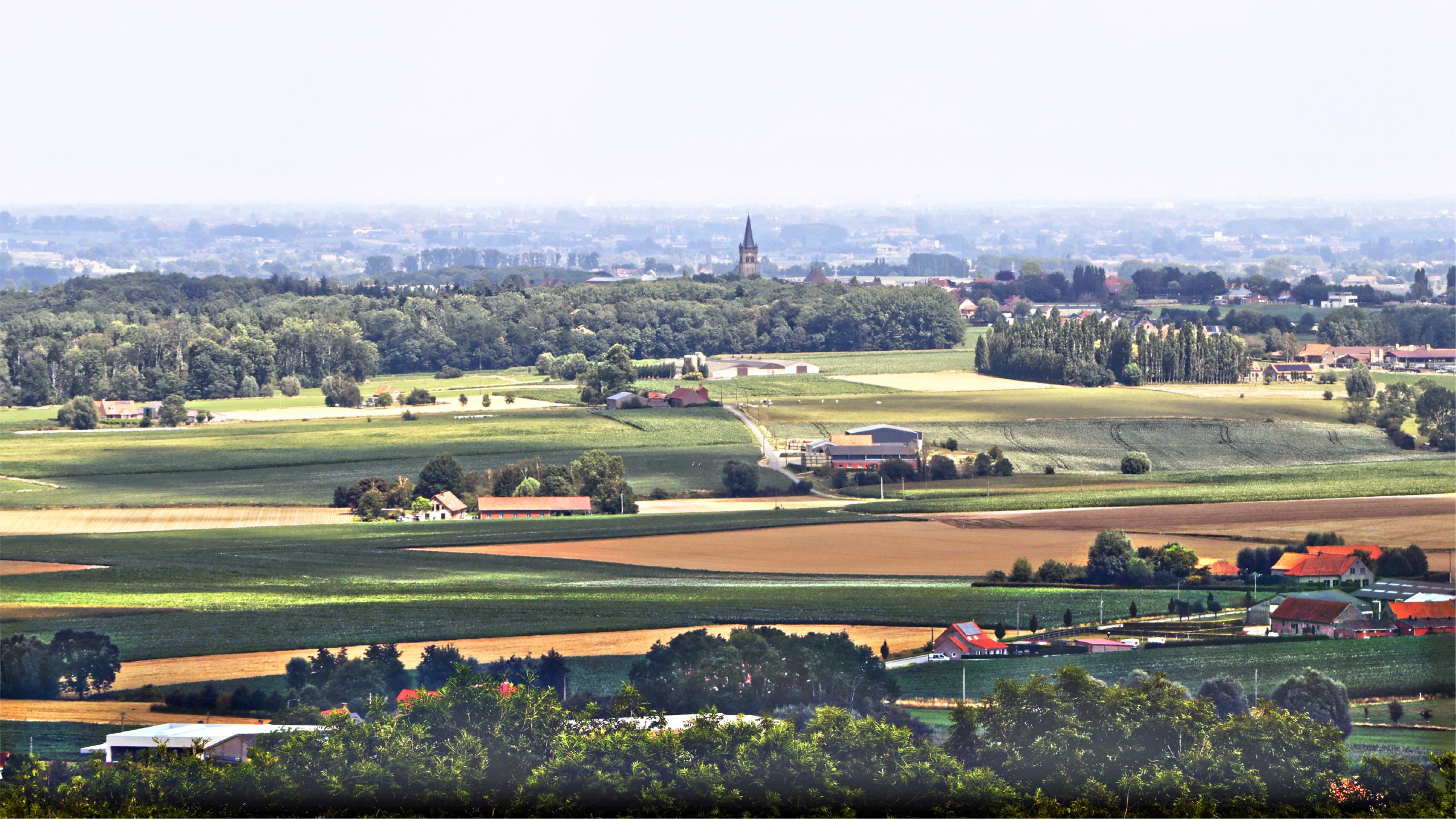 Terug naar de bergen