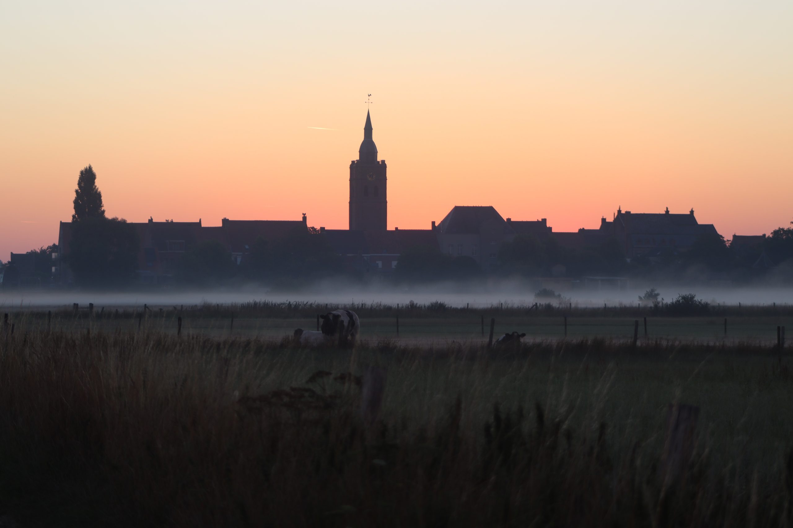 De veerkracht van de ijzervlakte