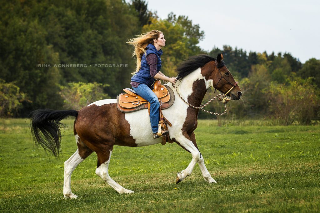 Reiterin auf einem Pferd, das über die Wiese galoppiert