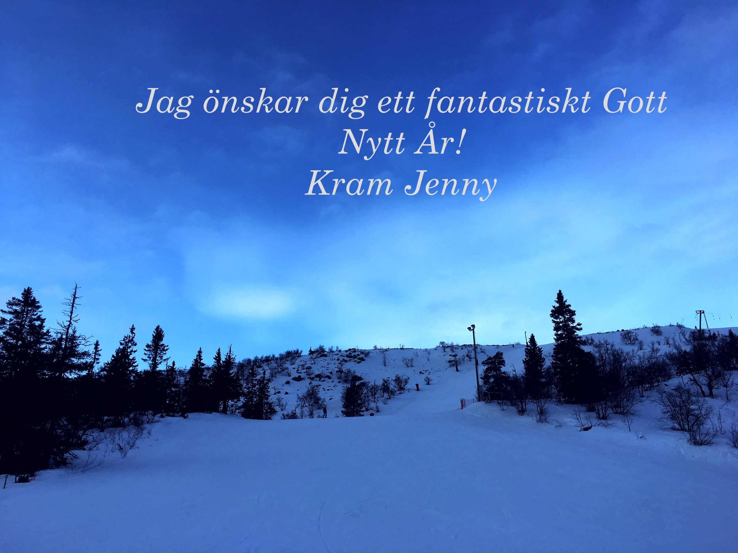 Du visar för närvarande Gott Nytt År!