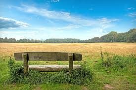 bench and lovely view