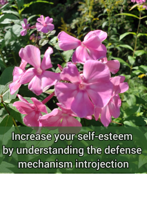 Increase your self-esteem by understanding the primitive defense mechanism introjection
