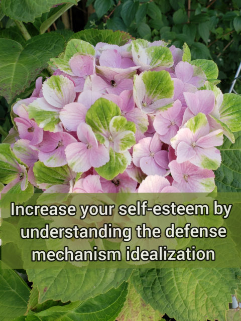 Increase your self-esteem by understanding the primitive defense mechanism idealization