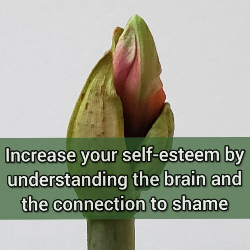 Increase your self-esteem by understanding the brain and the connection to shame