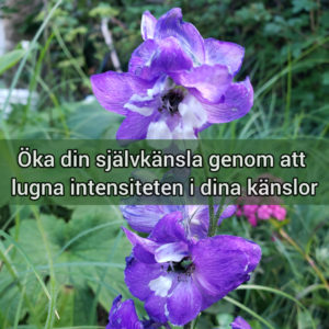 Hur du lugnar intensiteten i dina känslor