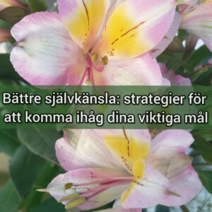 Bättre självkänsla: 4 strategier för att komma ihåg dina viktiga mål