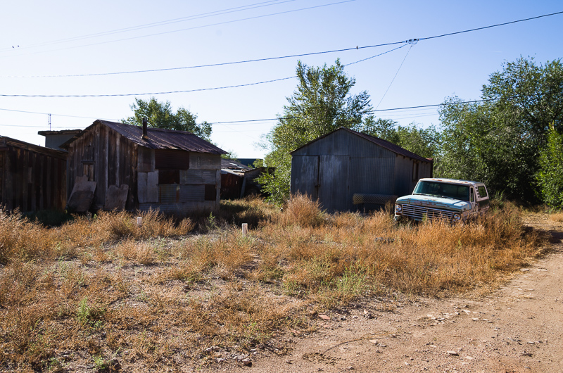 Seligman, 2013