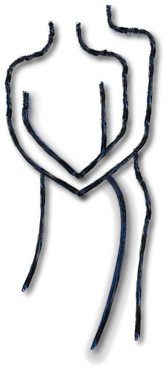 Logo Jeroen Prossé Narcisme en relaties