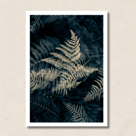 Earth Fern