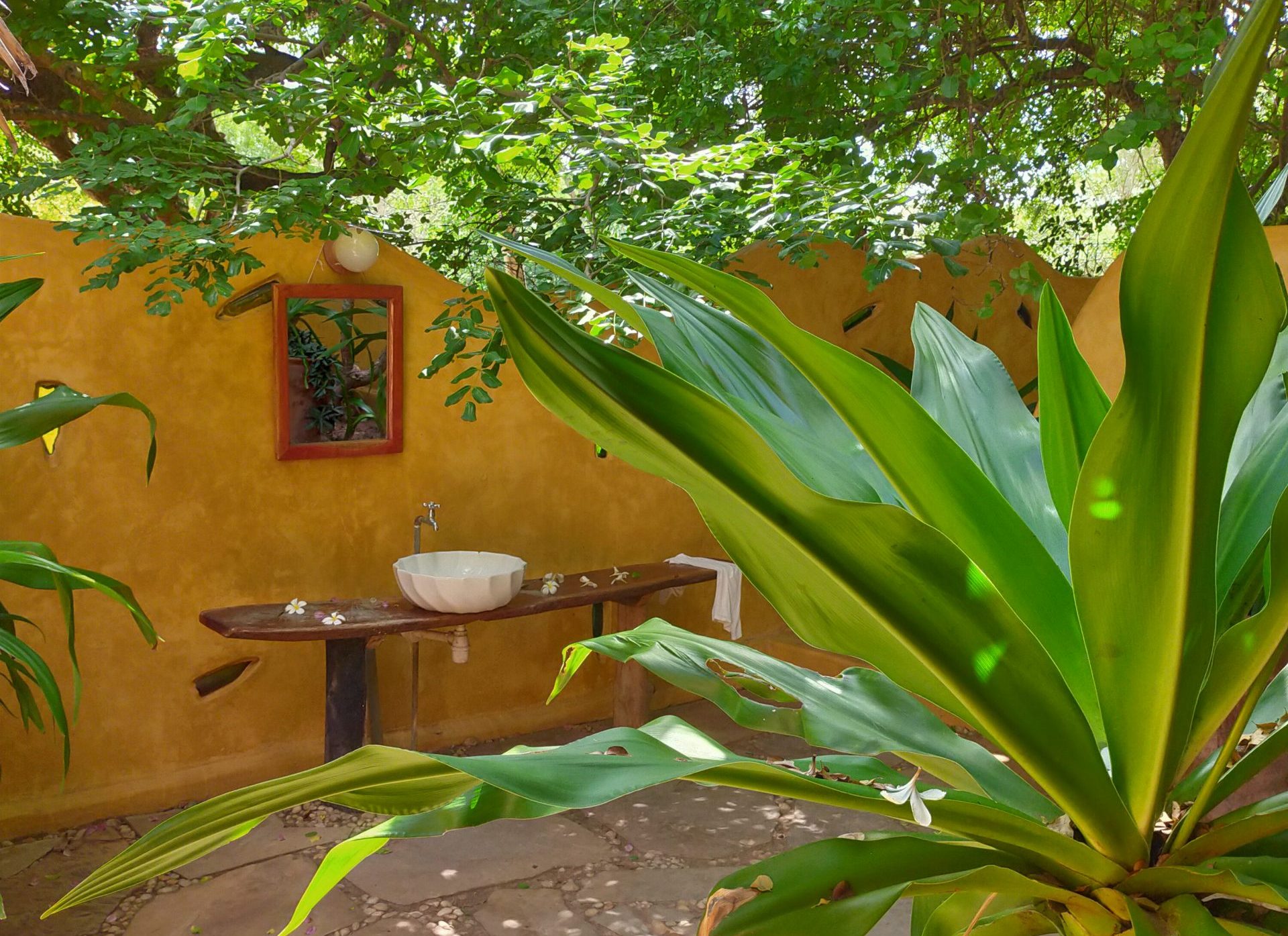 Backpackers ecolodge Kenia; Leef in de natuur