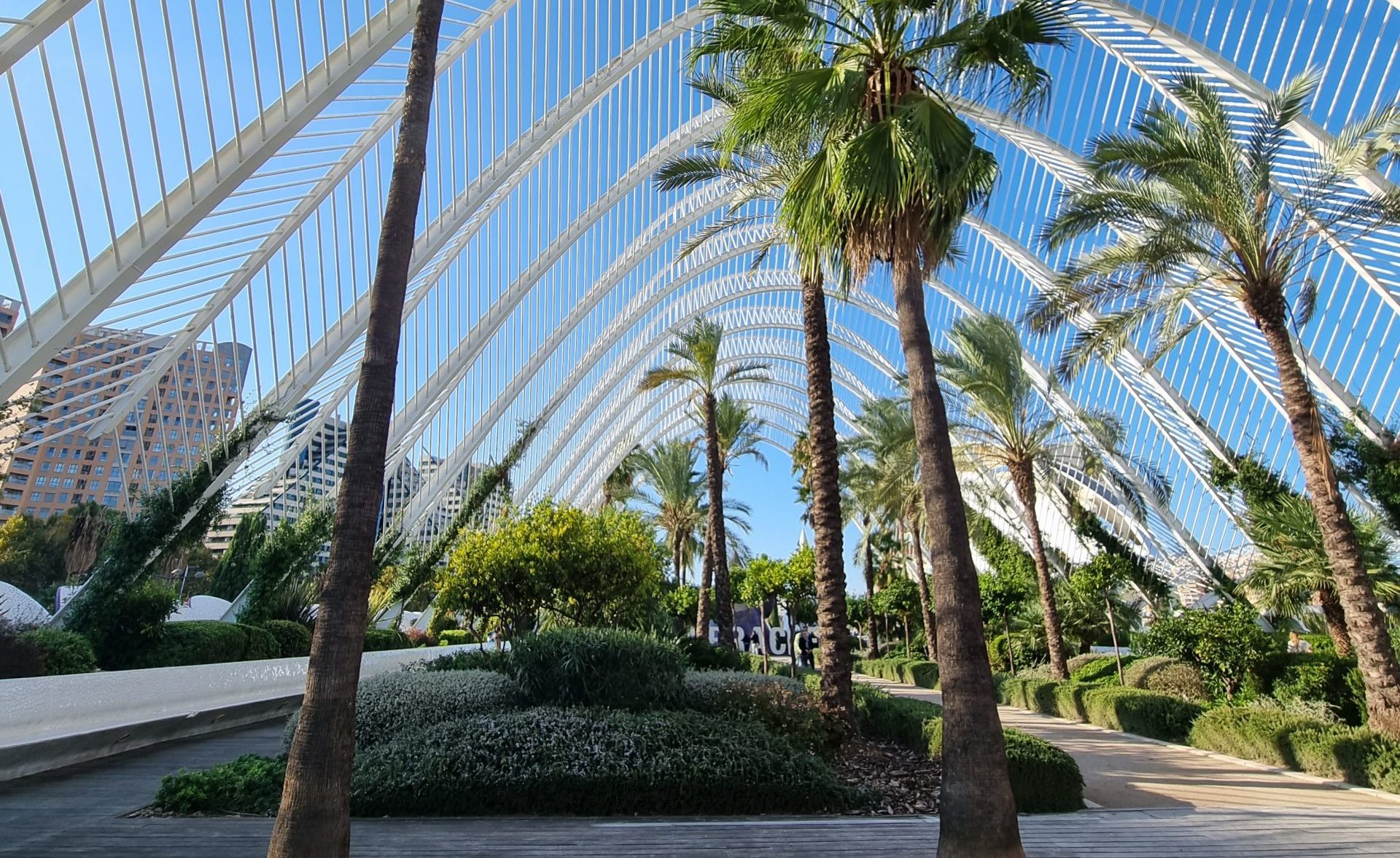 Valencia, deze stad heeft alle ingrediënten voor een fijne vakantie.
