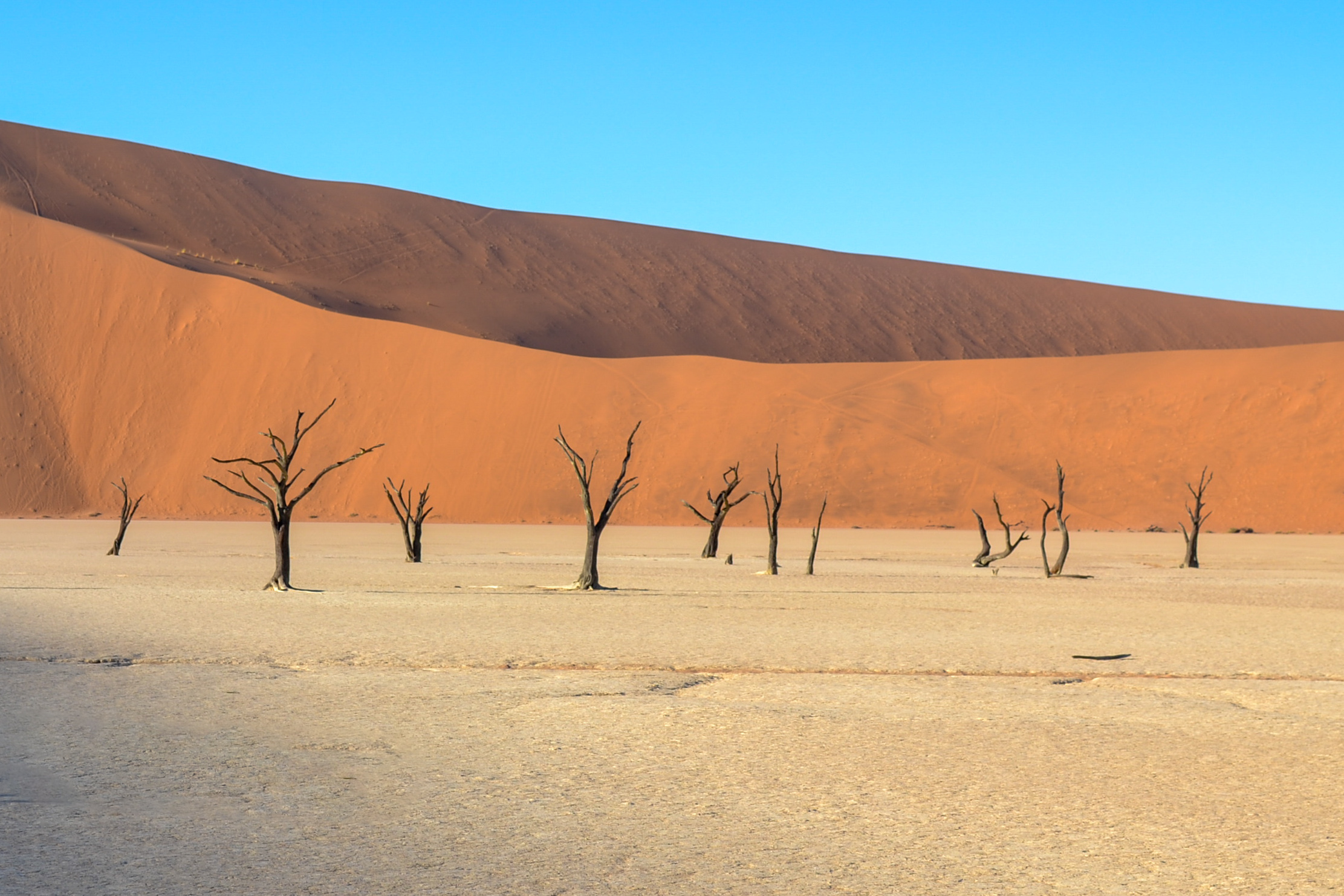 deadvlei
