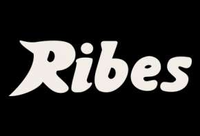 Ribes