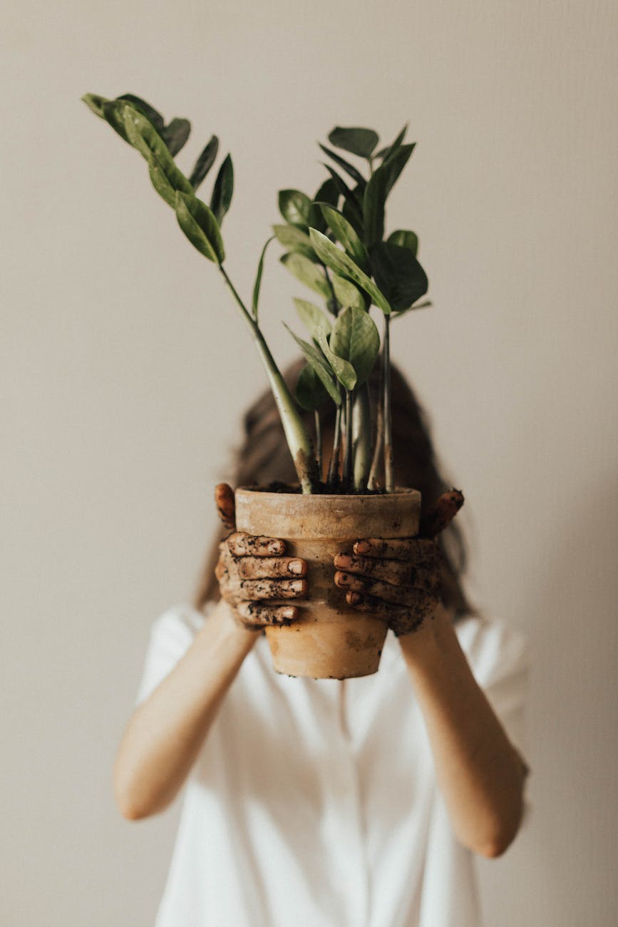 person holding pot plant