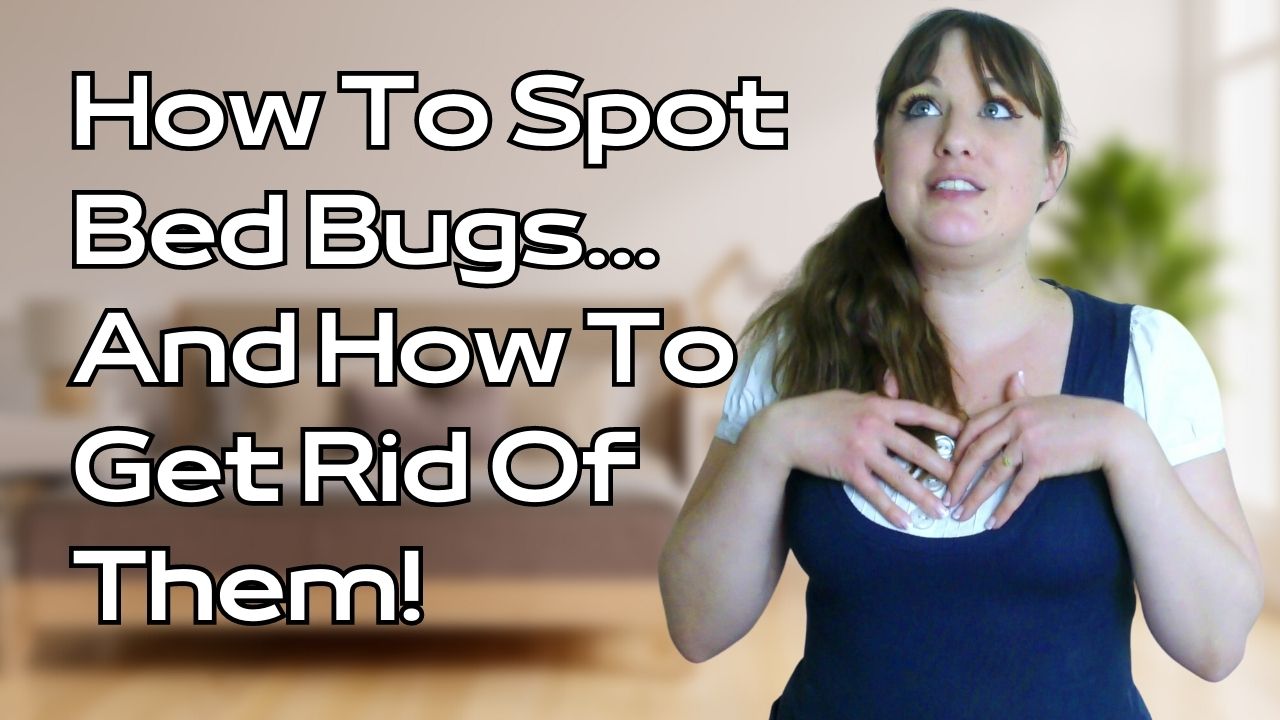 How To Spot Bed Bugs… And How To Get Rid Of Them!