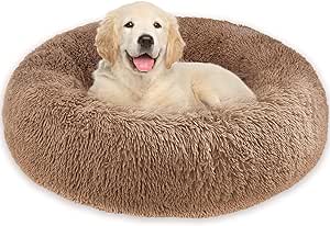 Whome Donut Dog Bed on the JJ Barnes Blog