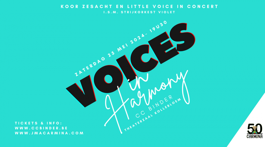 ZesAcht & Little Voice : in Harmony
