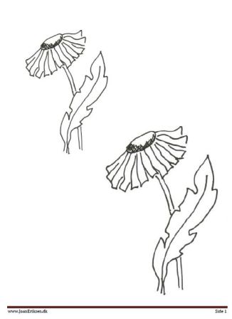 Mælkebøtter, motiver til broderi og malesider.