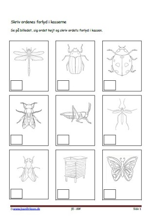 Forlyd, Elevopgave, Undervisning, Insekter
