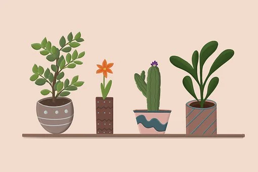 Växter i hemmet