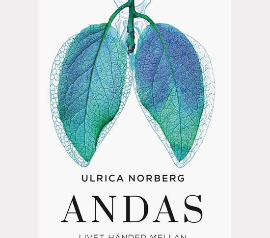 Andas – del 1