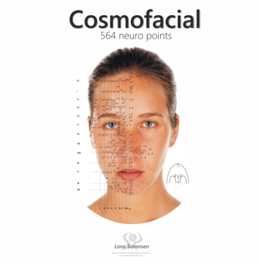 Ansigtszone- og Refleksterapi reflekszoner og punkter i ansigtet hovedbund front