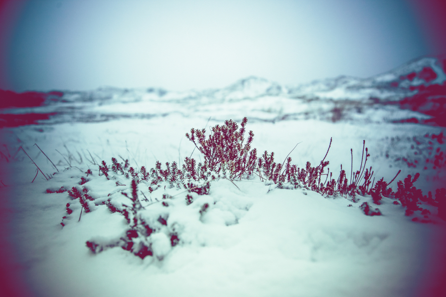 Vinterlandskap fotografering2