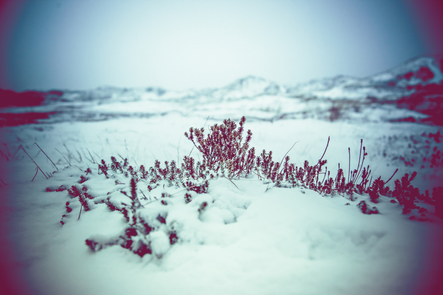 Vinterlandskap fotografering5