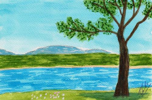 1008-LOUGH-GILL-SLIGO-IRELAND-copy