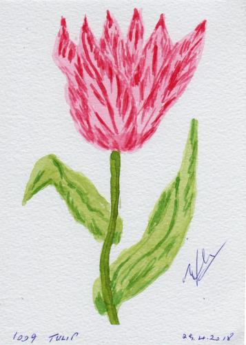 1009-TULIP