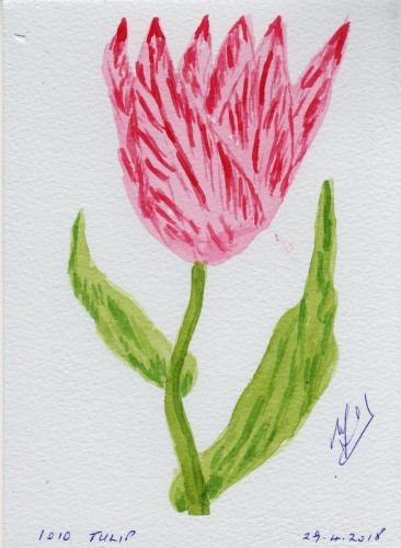 1010-TULIP