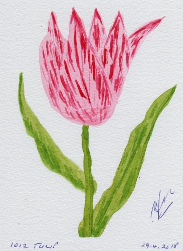 1012-TULIP