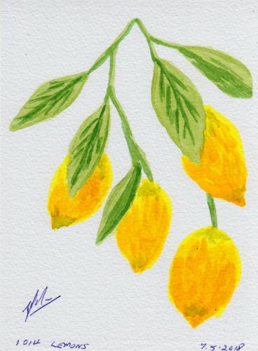 1014-LEMONS