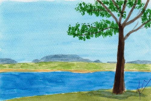 1026-LOUGH-GILL-SLIGO-IRELAND