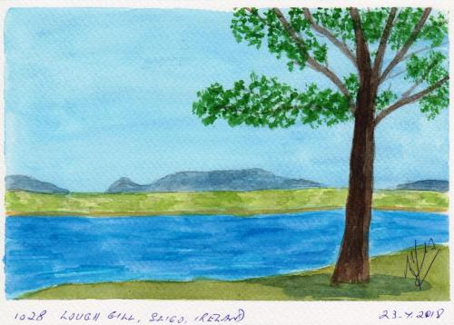 1028-LOUGH-GILL-SLIGO-IRELAND