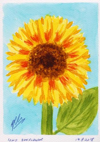 1040-SUNFLOWER