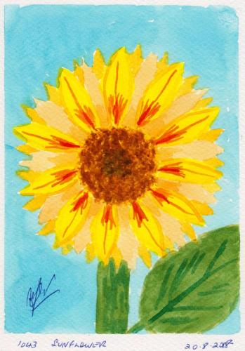 1043-SUNFLOWER