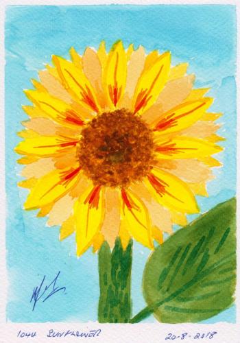 1044-SUNFLOWER