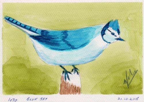 1070-BLUE-JAY