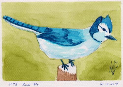 1073-BLUE-JAY