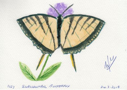 1123-SWALLOWTAIL-BUTTERFLY