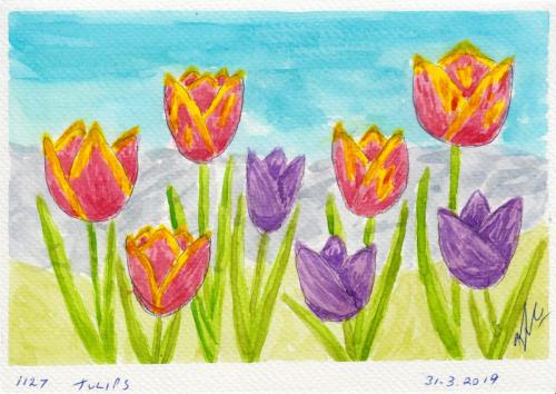 1127-TULIPS