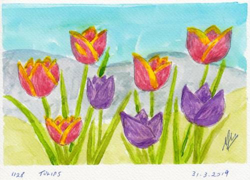 1128-TULIPS